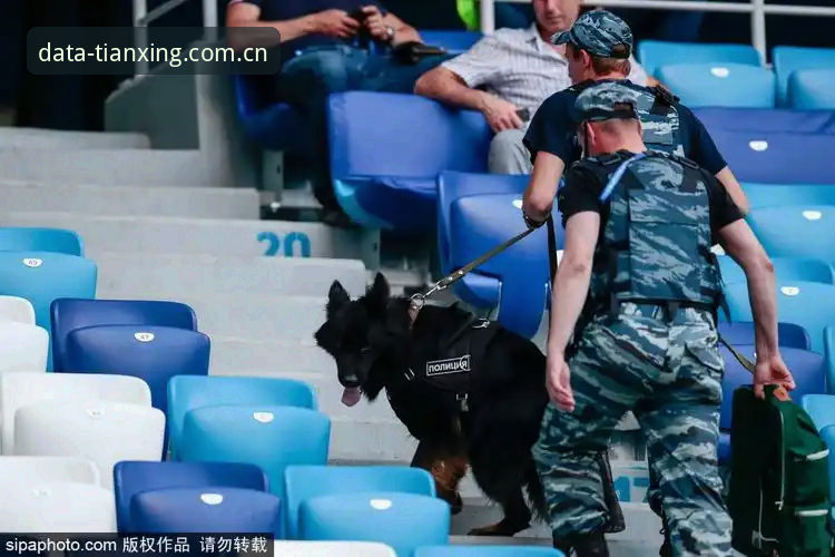 天行数据怎么样 世界杯安保策略全面评测:英国警员锐减背后的数据解读与实战启示